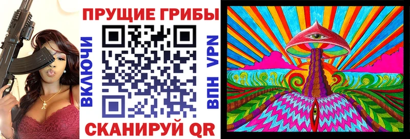 Псилоцибиновые грибы Psilocybe  Канаш 